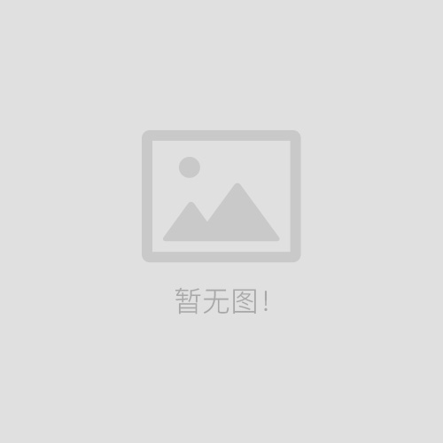 江冶参与江西省科技厅重点专项“大 型集成电路用高性能”